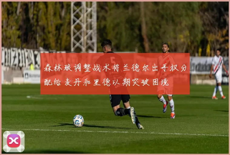 森林狼调整战术将兰德尔出手权分配给麦丹和里德以期突破困境